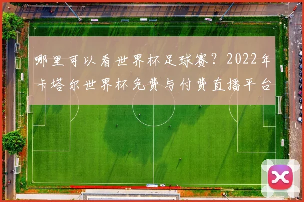 哪里可以看世界杯足球赛？2022年卡塔尔世界杯免费与付费直播平台全攻略